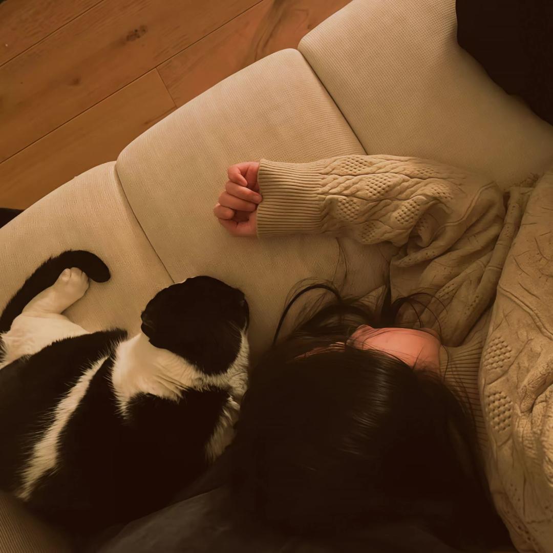 ㅤㅤㅤ @          7