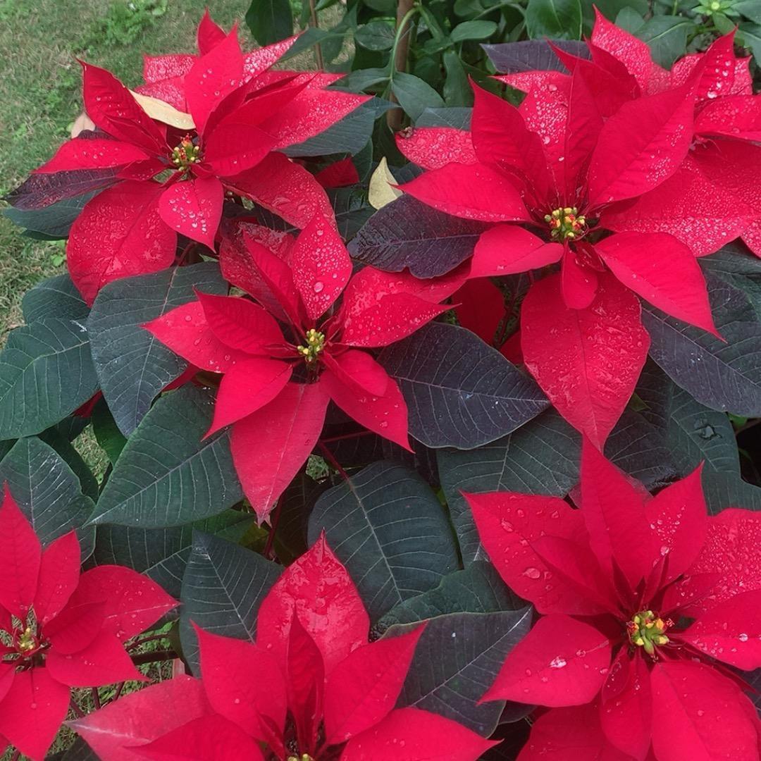 🌈🌈韵🍀🌈🌈