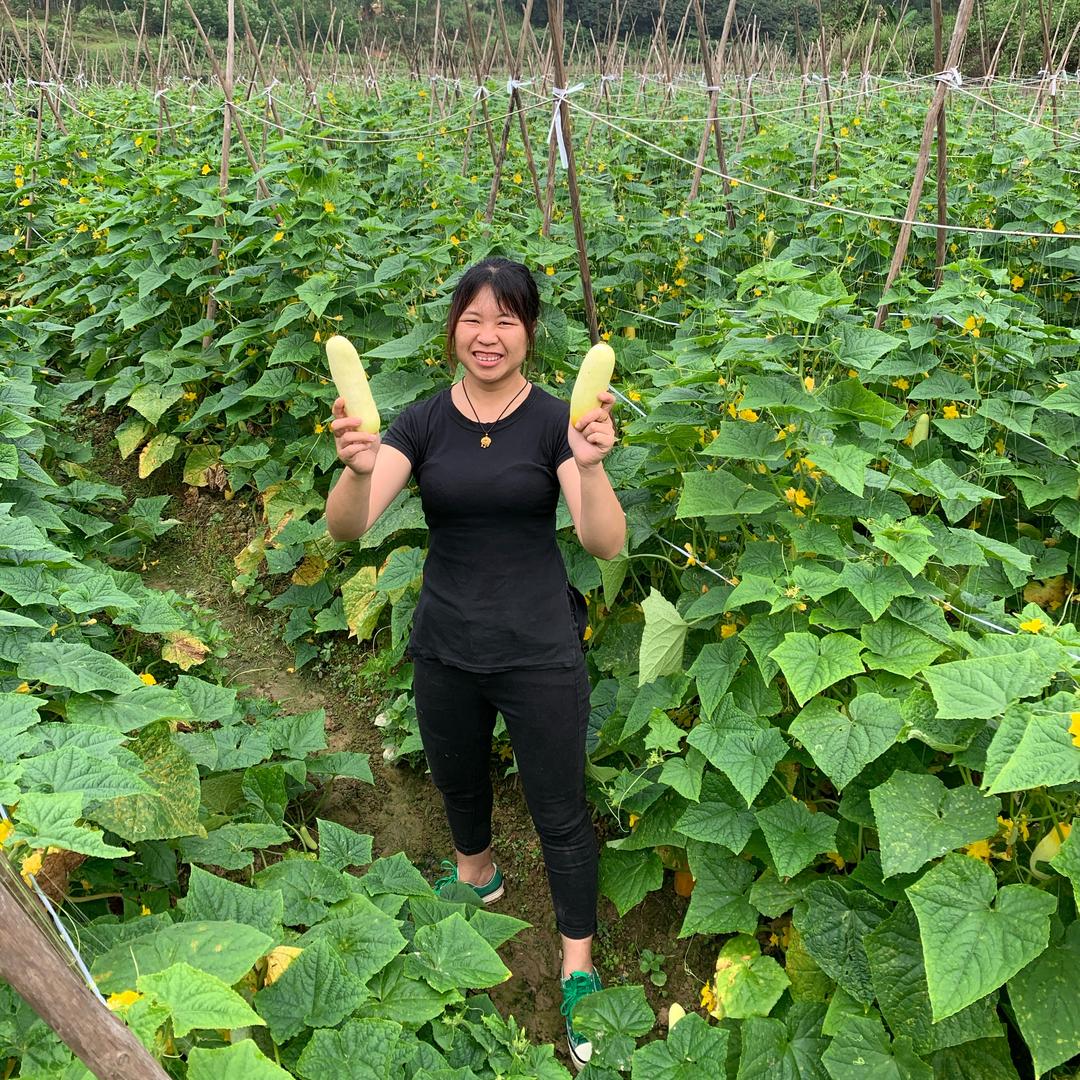 小曼🌸