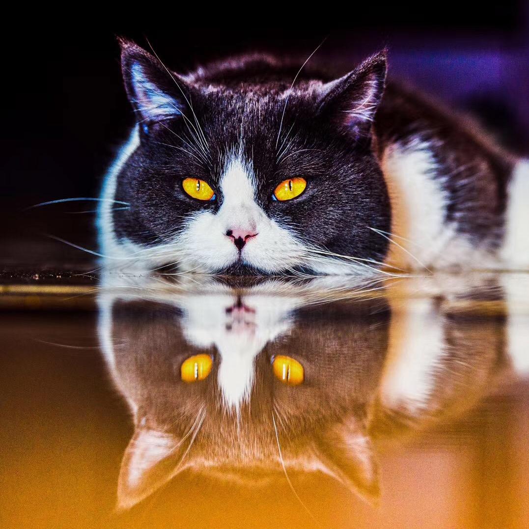 📷989婚礼纪实——中正