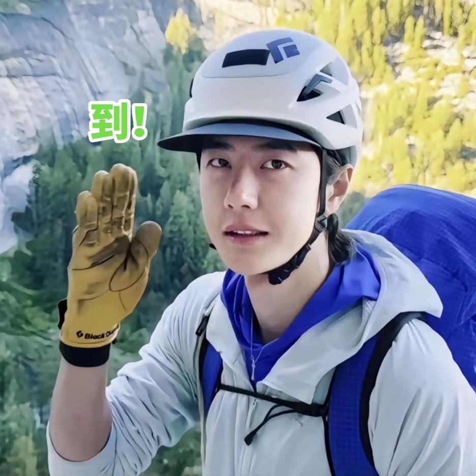 避尘剑柄33cm💚💛❤️