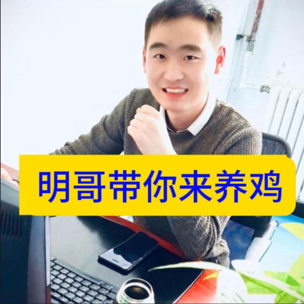 明哥带你养好鸡