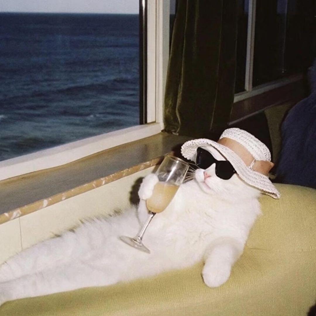 邵大鹅真的很吵