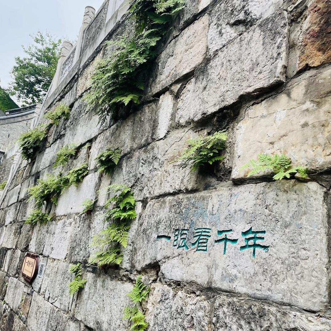 Miss李🌈