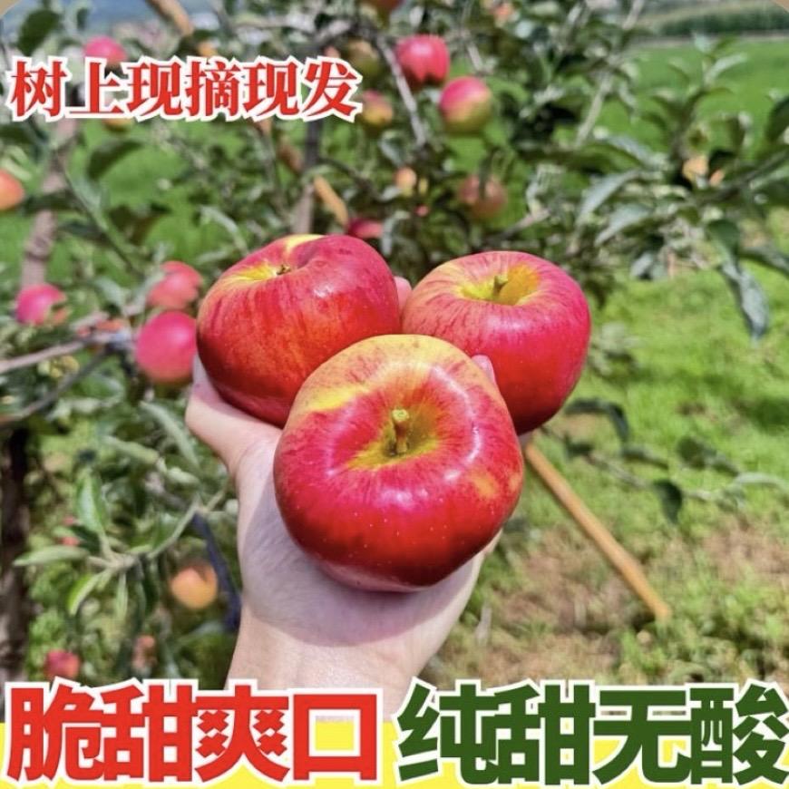 农昇宏果园