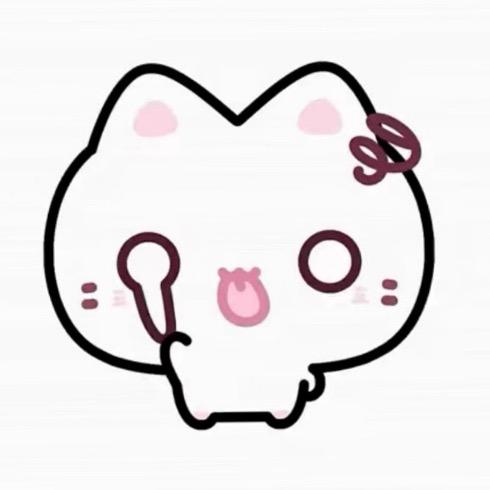 化不了的冰块🧊