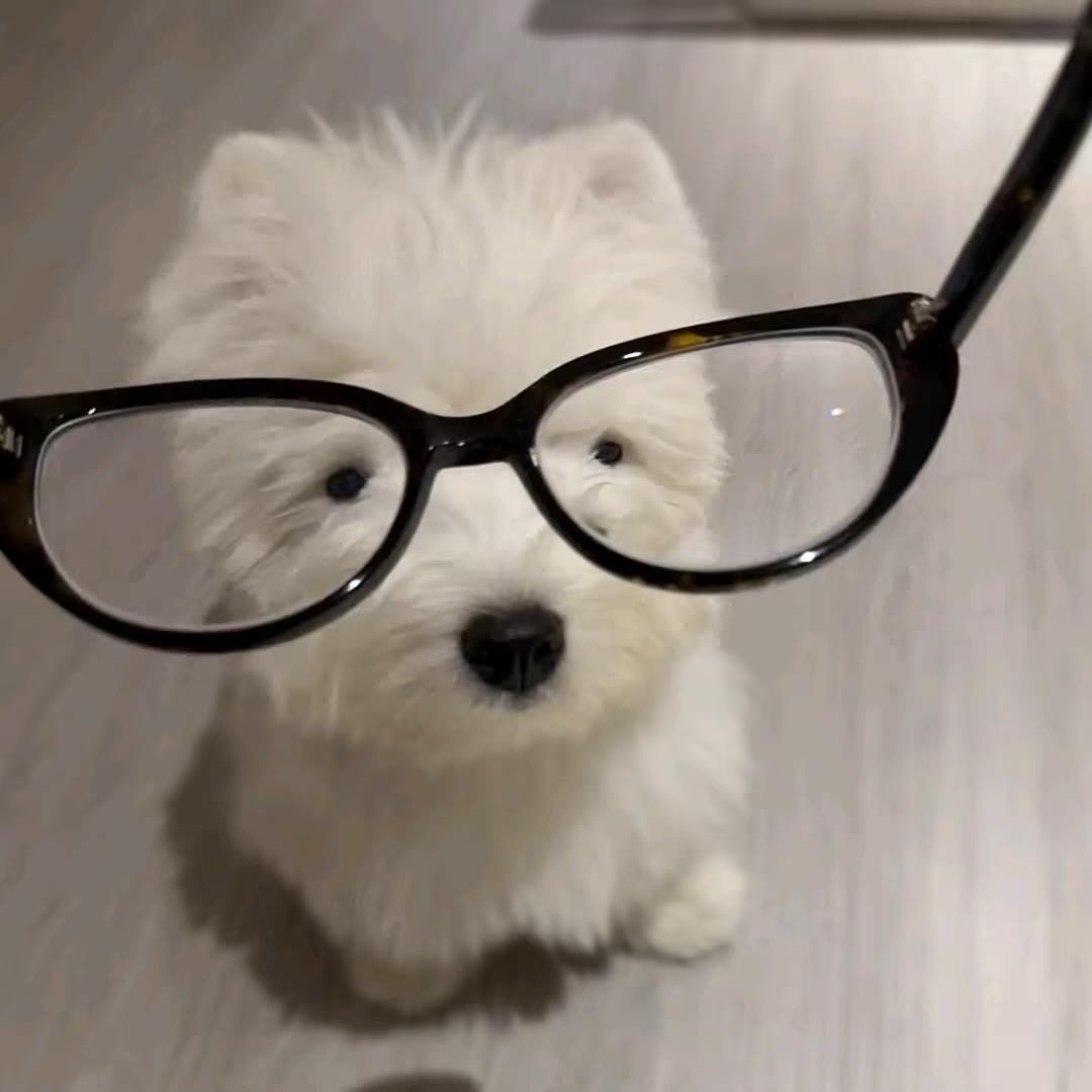 线裤