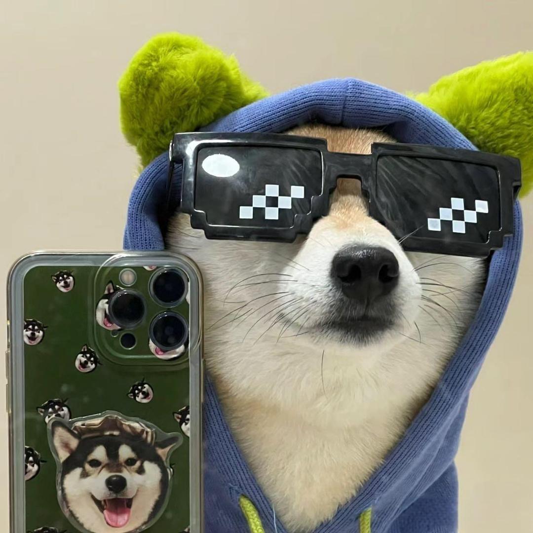 种枝海棠不送人（不良人天孤星）