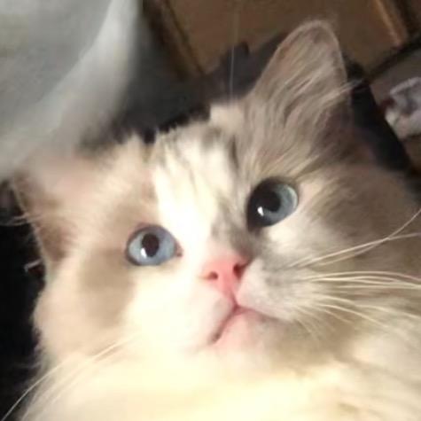 天津素质男孩