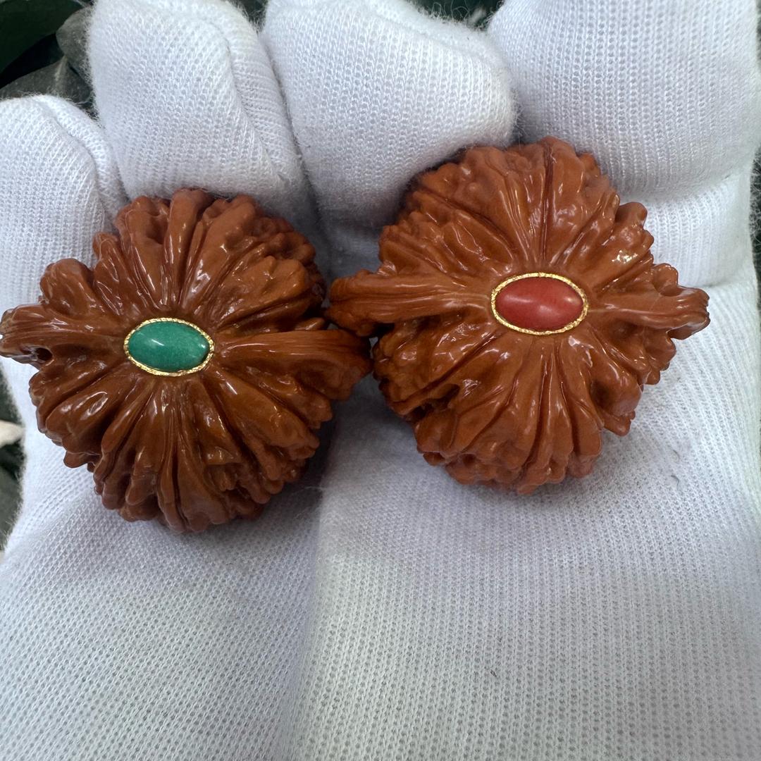 高原上打坐的羊