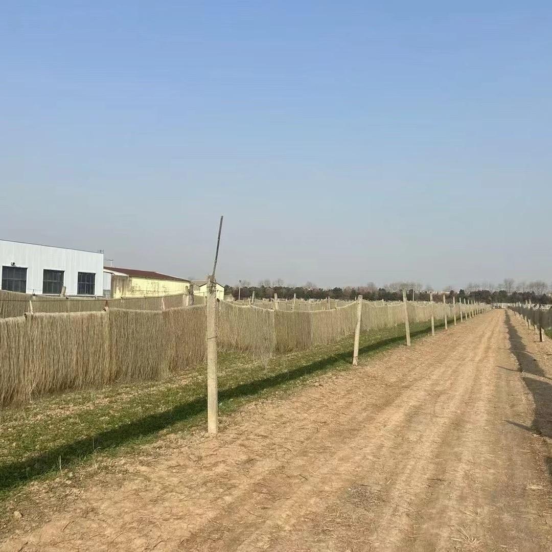 淮品香农家特产（大牙石榴张）