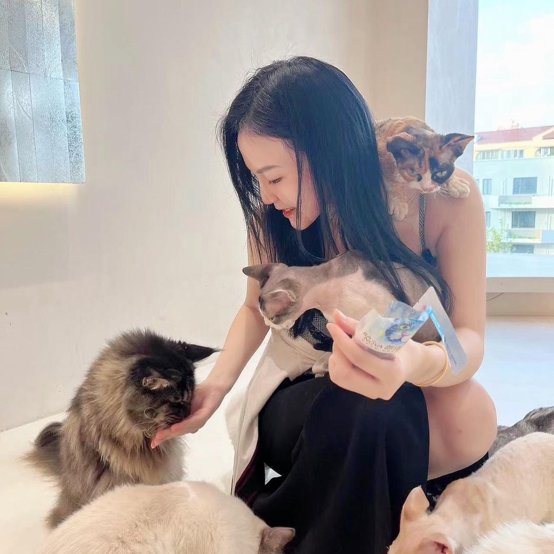 兔兔不姿道（工作繁忙中）