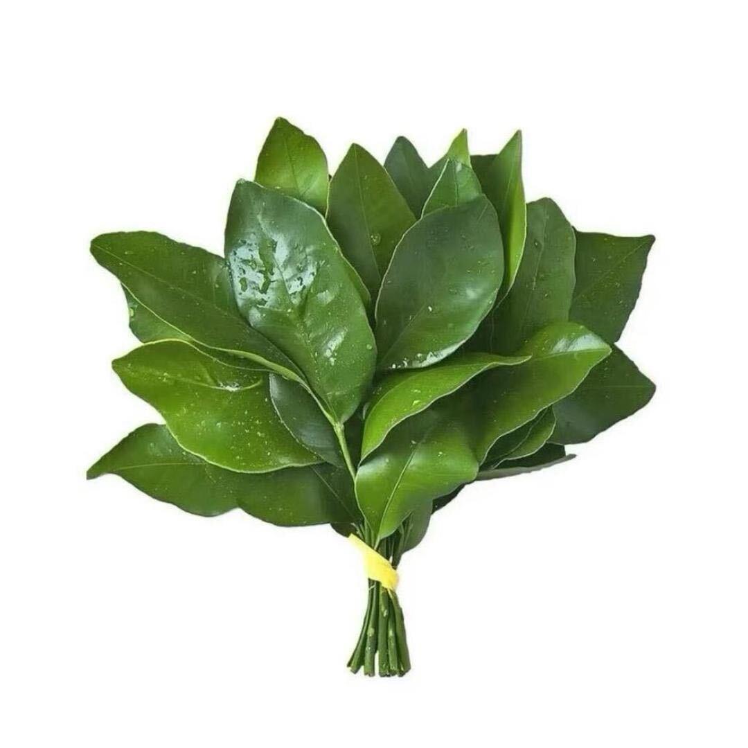 再见一面·