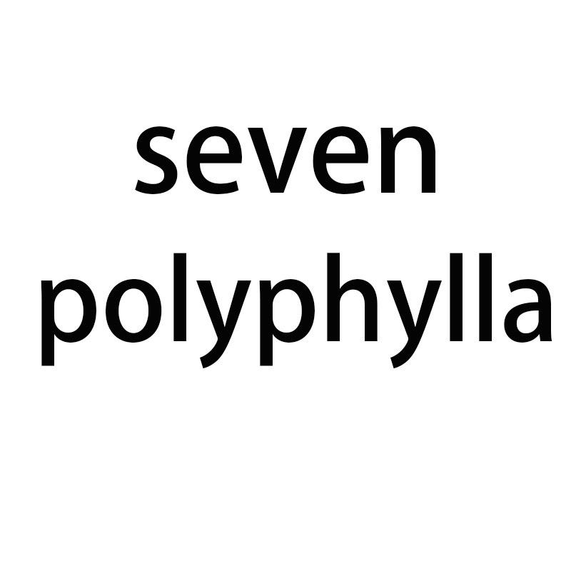 seven polyphylla运动旗舰店