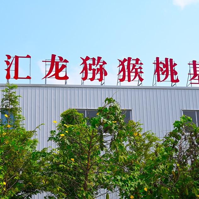 安庆汇龙猕猴桃基地