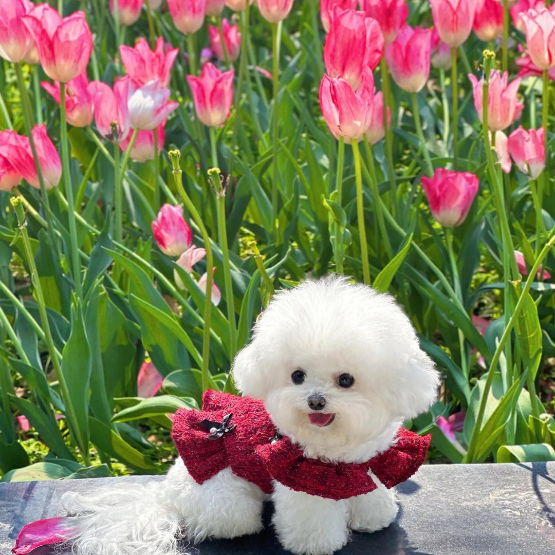 廖廖日常专业洗护