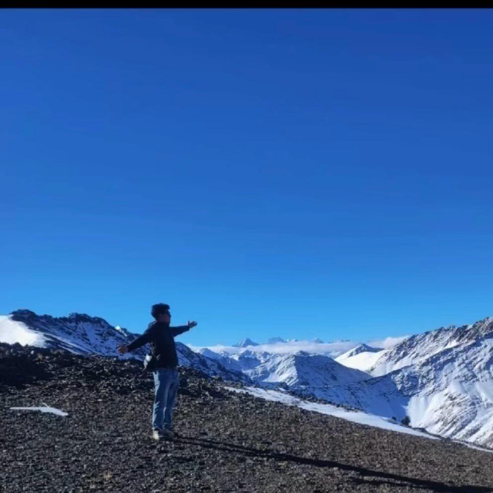 雄宗团队  西西嘛💕