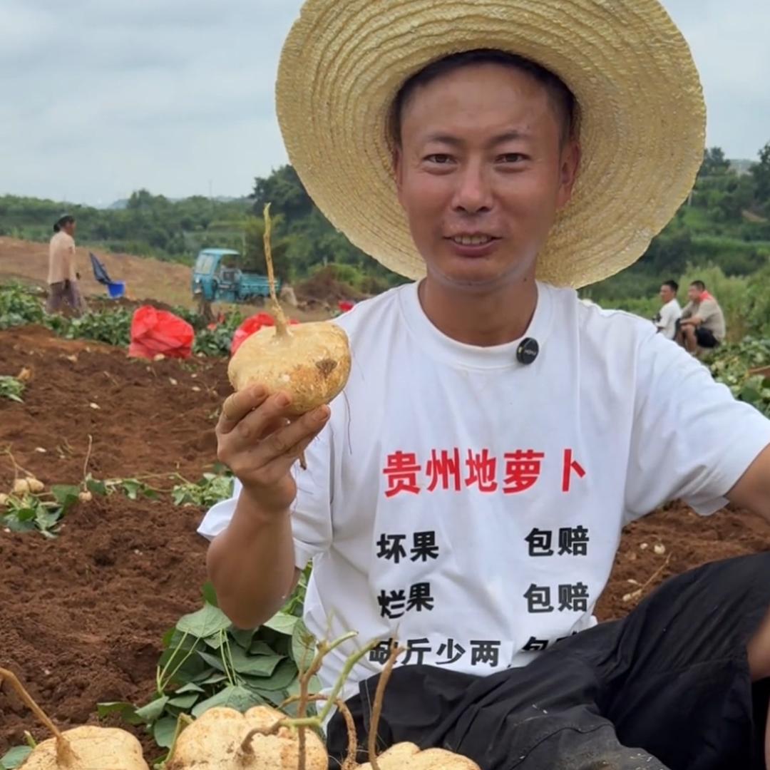 阿斌鲜果（安顺地萝卜）