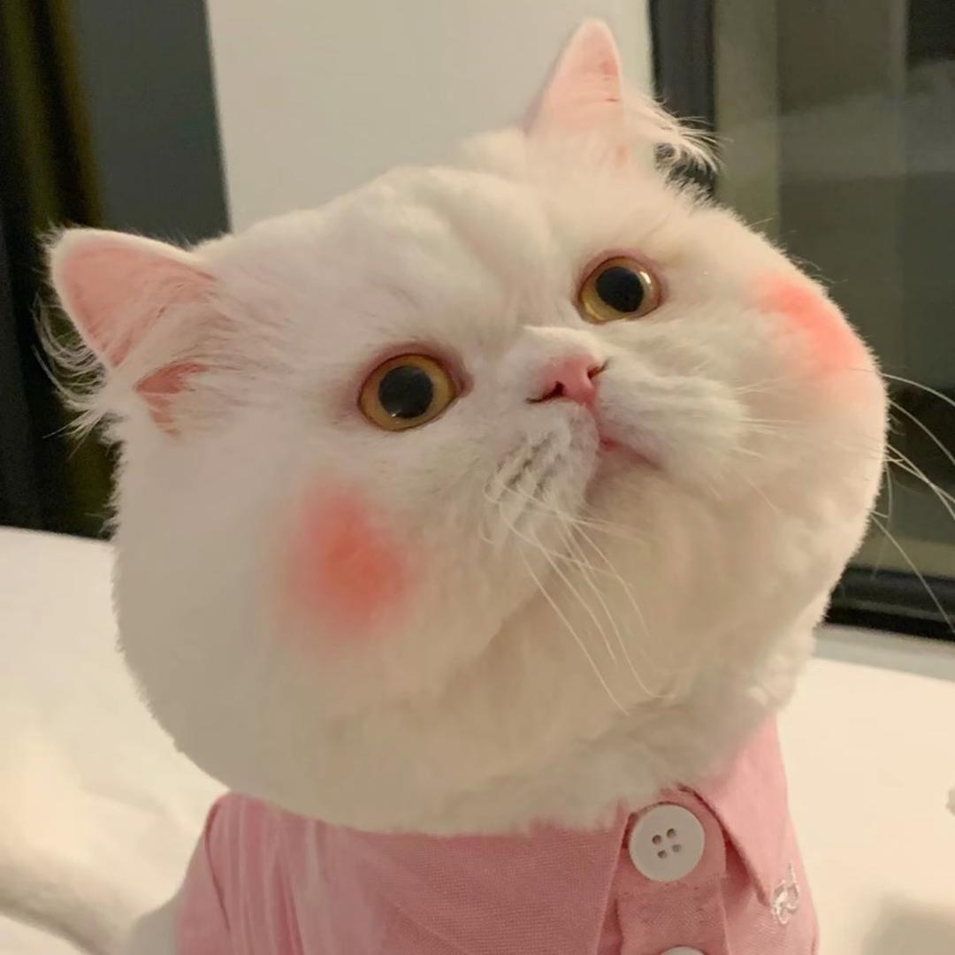 静心小石