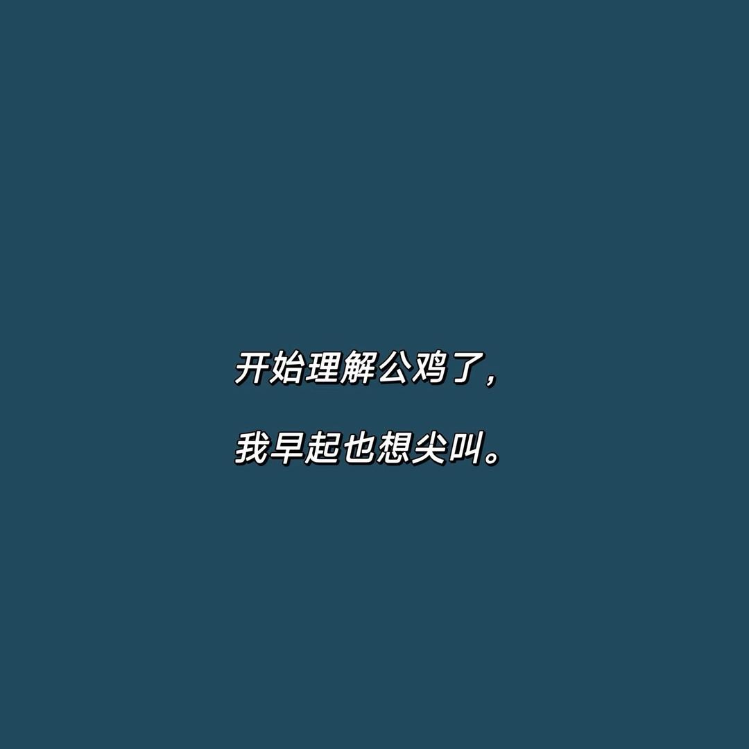 ꪟོꪲ日渐富有⁺¹⁰⁰࿐