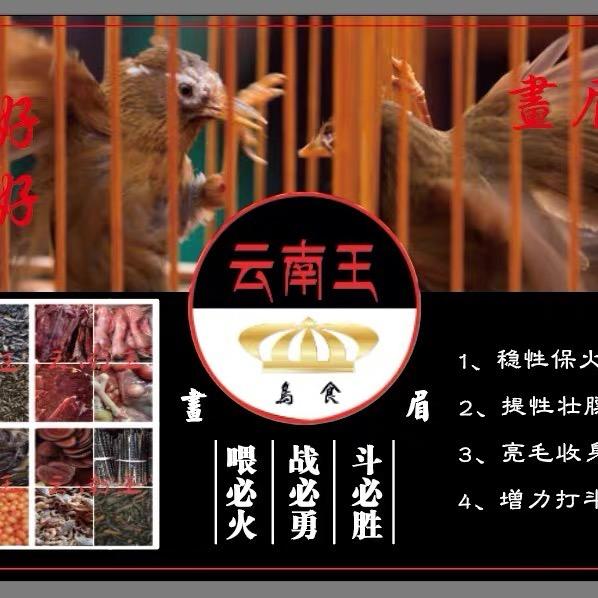 云南王鸟食鸟具