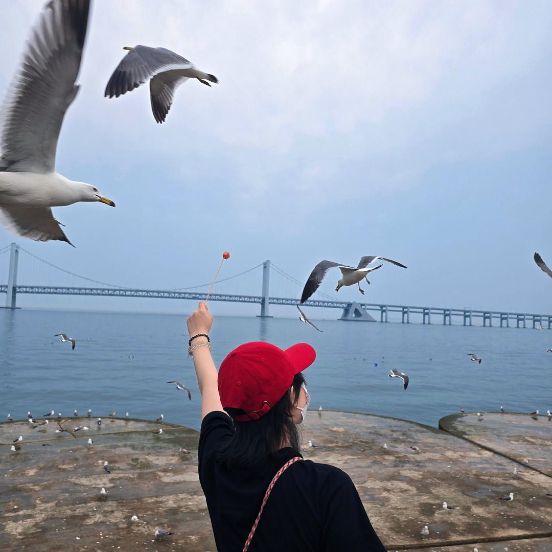 十七的不二叔📷