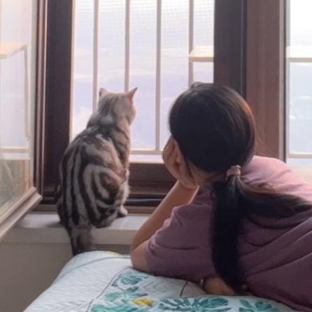 有福是只猫