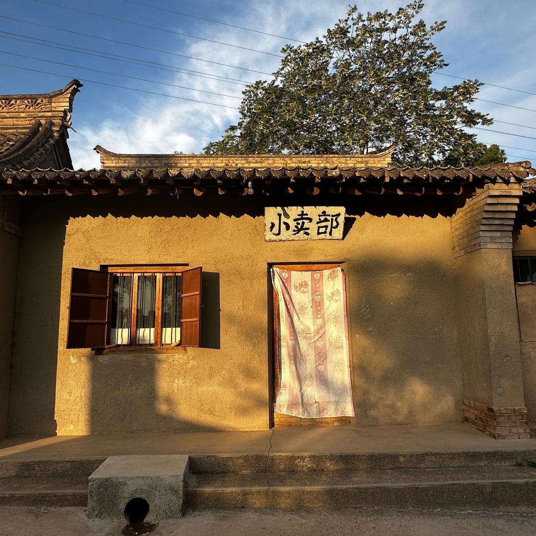 陈住气🐼