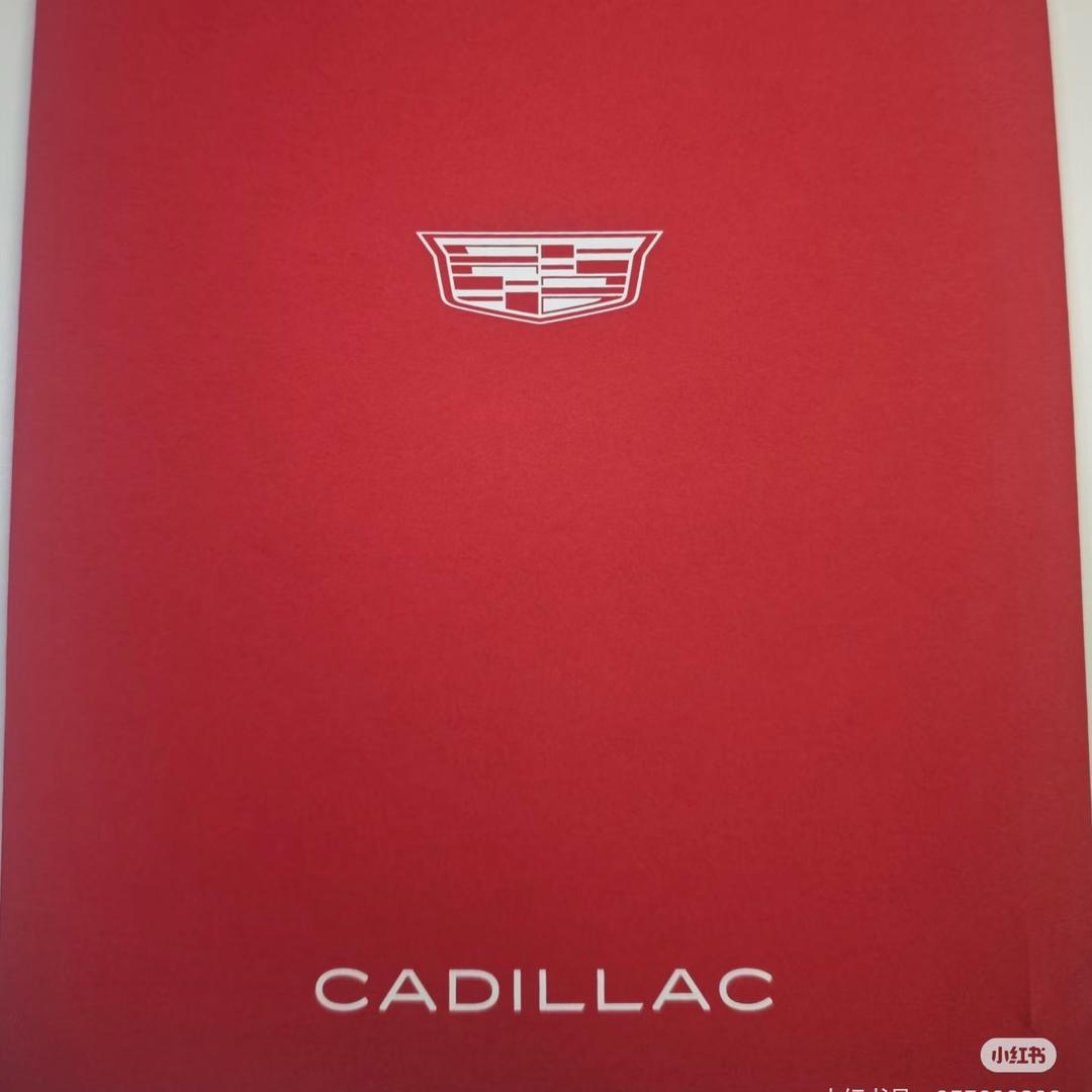 阿豹的凯迪车库