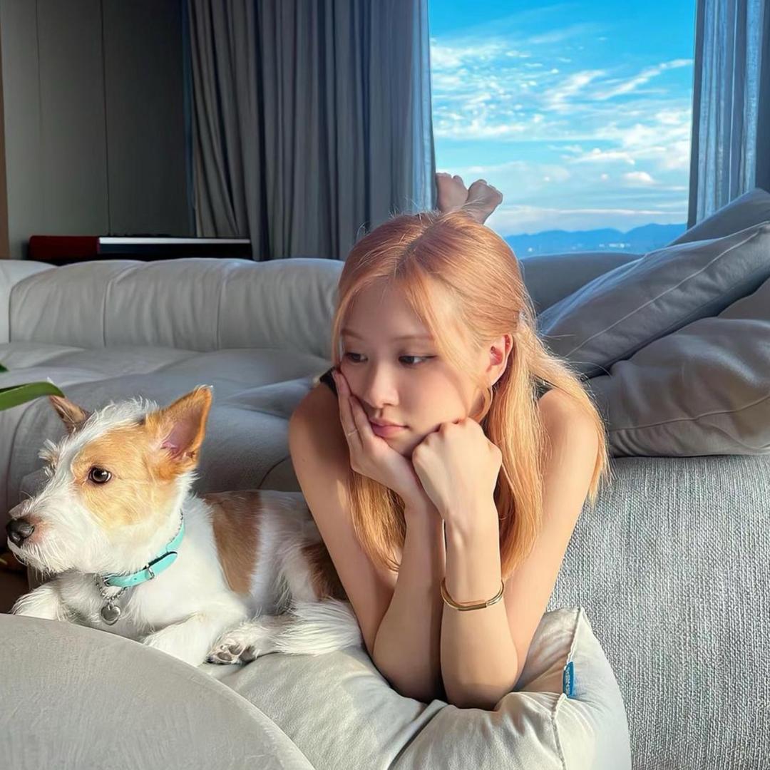 每天都好困ㅤㅤㅤㅤ