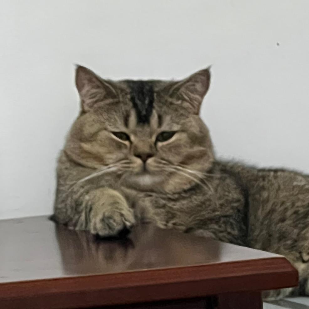 拾 壹