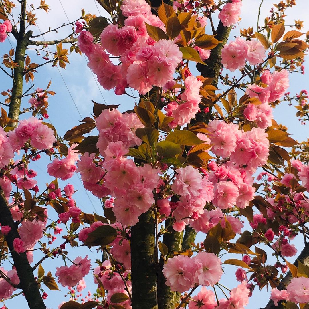 ^_^$$^_^🍀🍀🍀