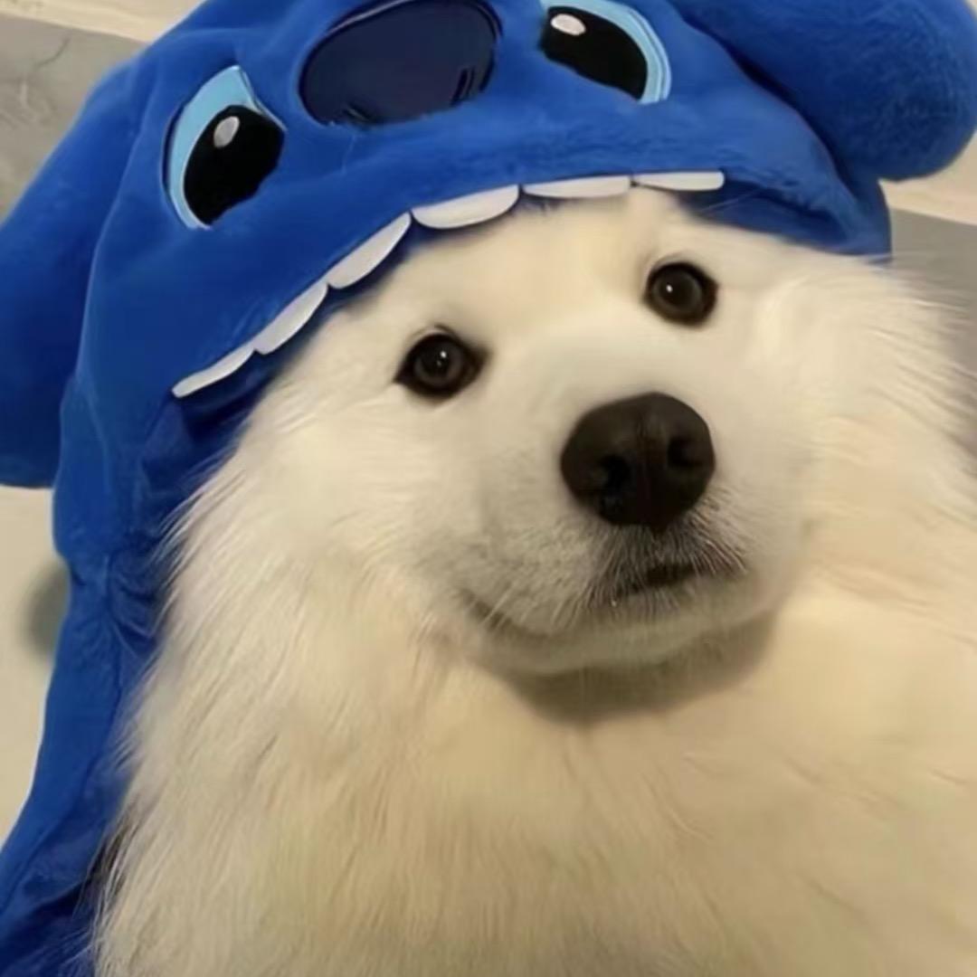 讲我不得糖