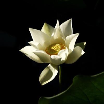 我一直认识你
