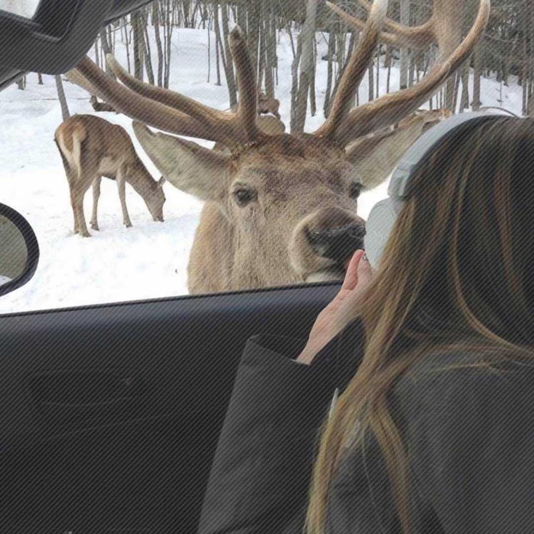 🌈🌈想不到名字.