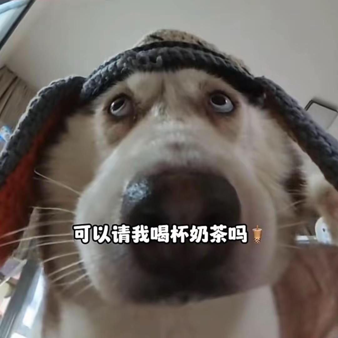 我在无锡很想你