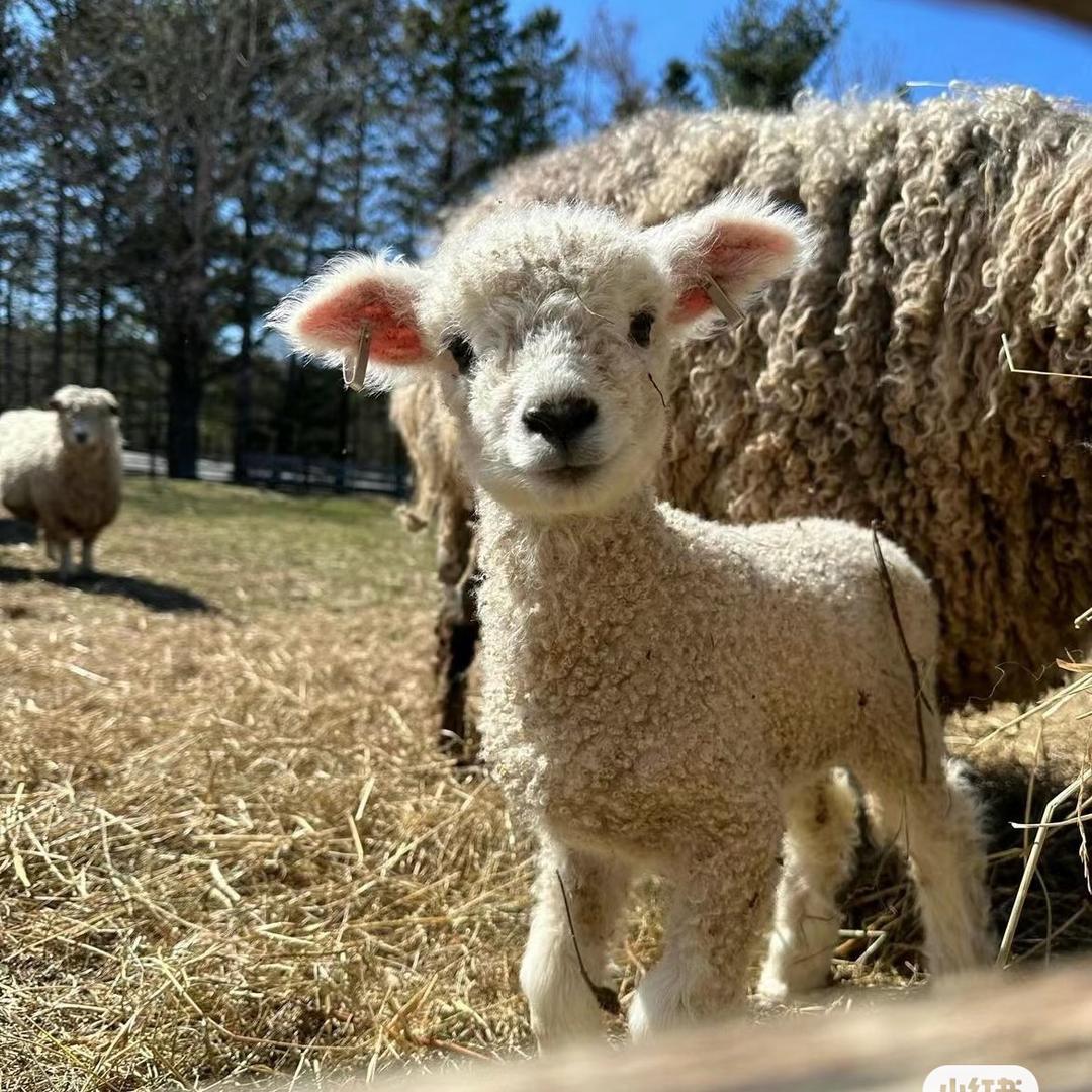 迦嘎玛手工艺集合店
