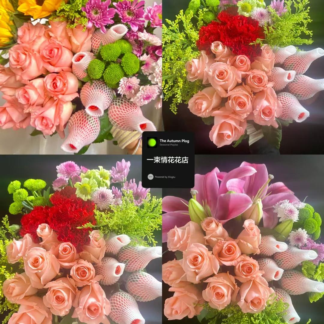 花儿说花卉