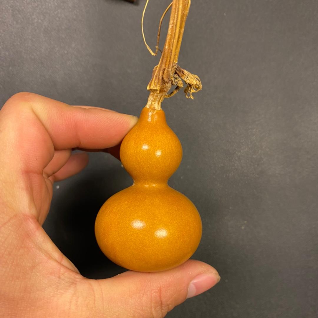 驰翁葫芦