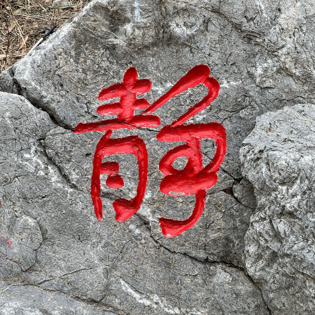 钓鱼玩@