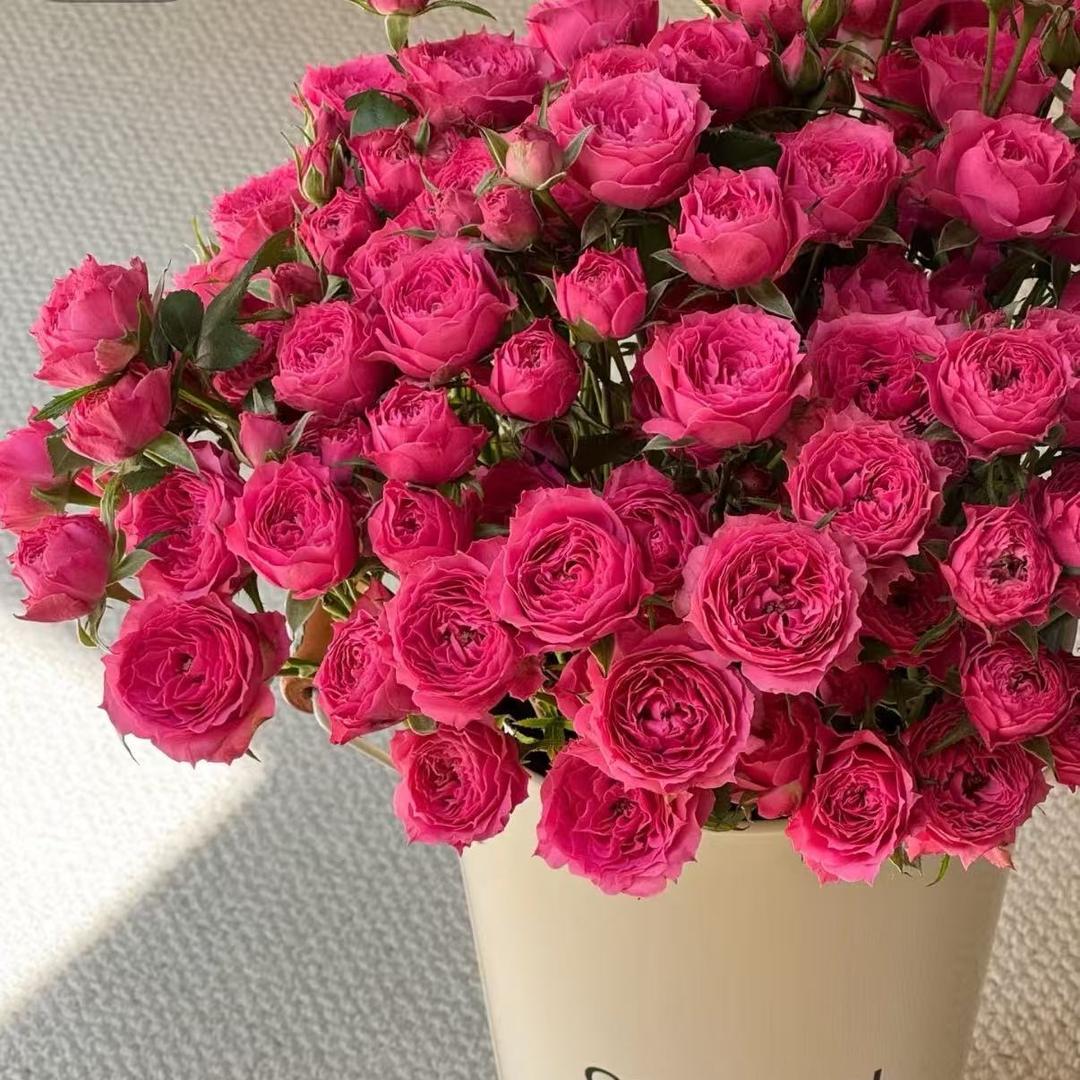 早早的春山花舍