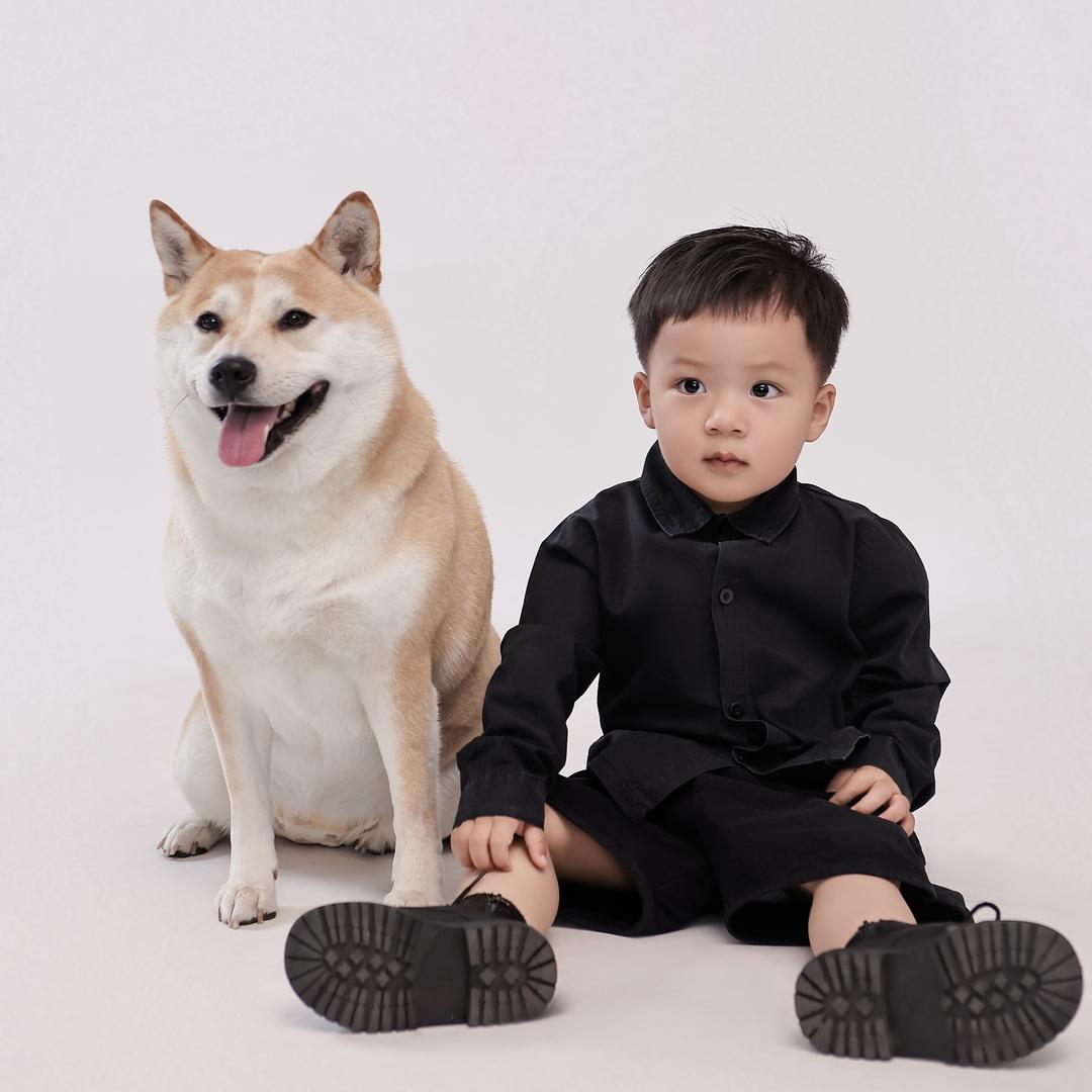 柴犬乐多