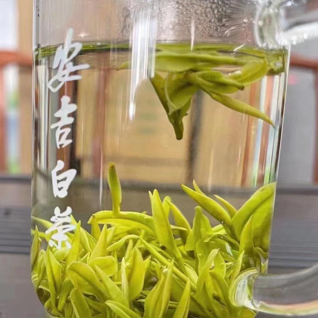 小徐家安吉白茶