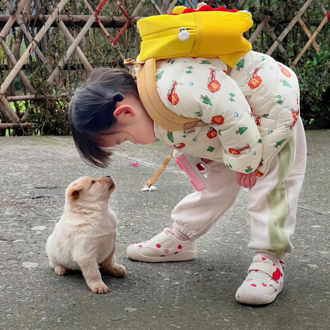 打不过就吐口水