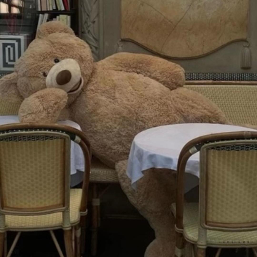 杉杉