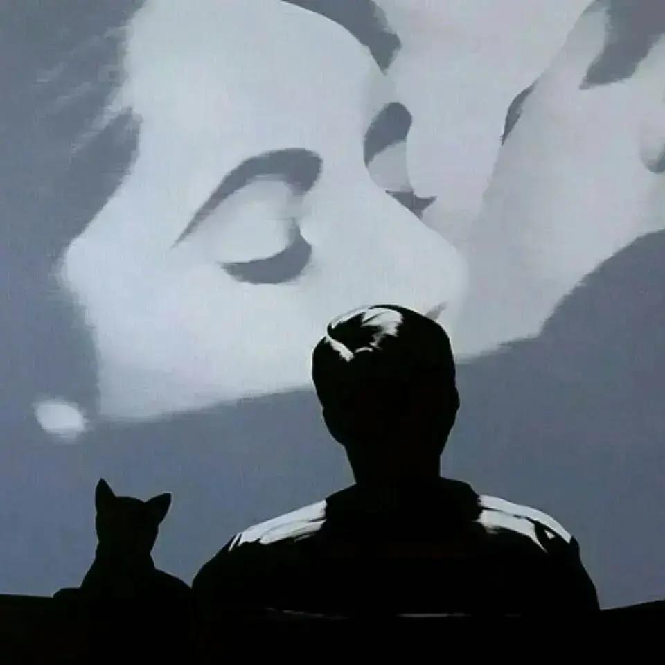 🌈爱吃三文鱼的狸猫