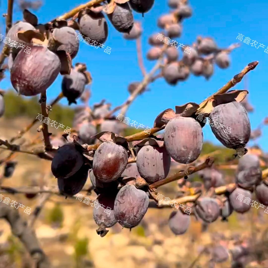 高鑫农产品优选