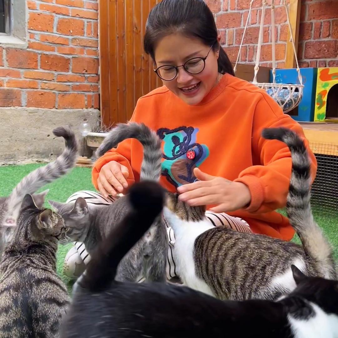 猫奴成成姐