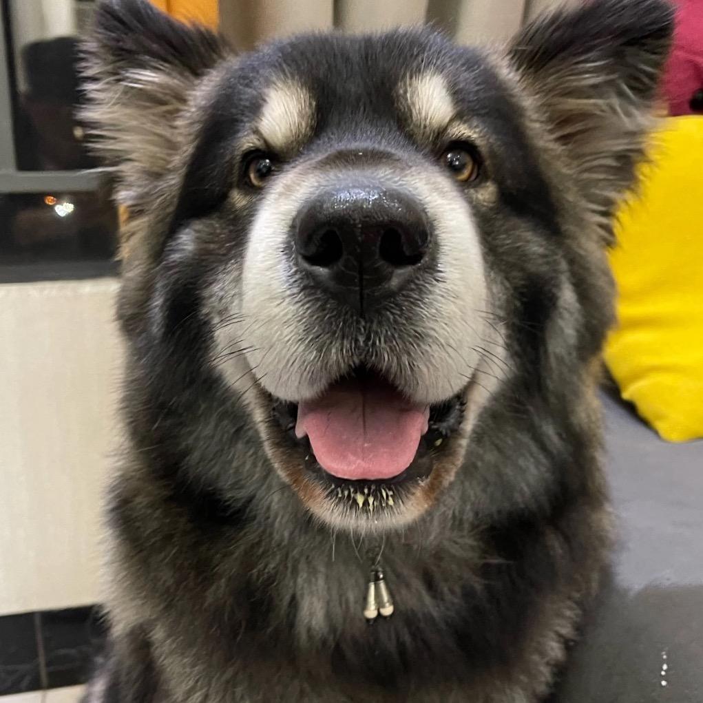 努力减肥的香蕉