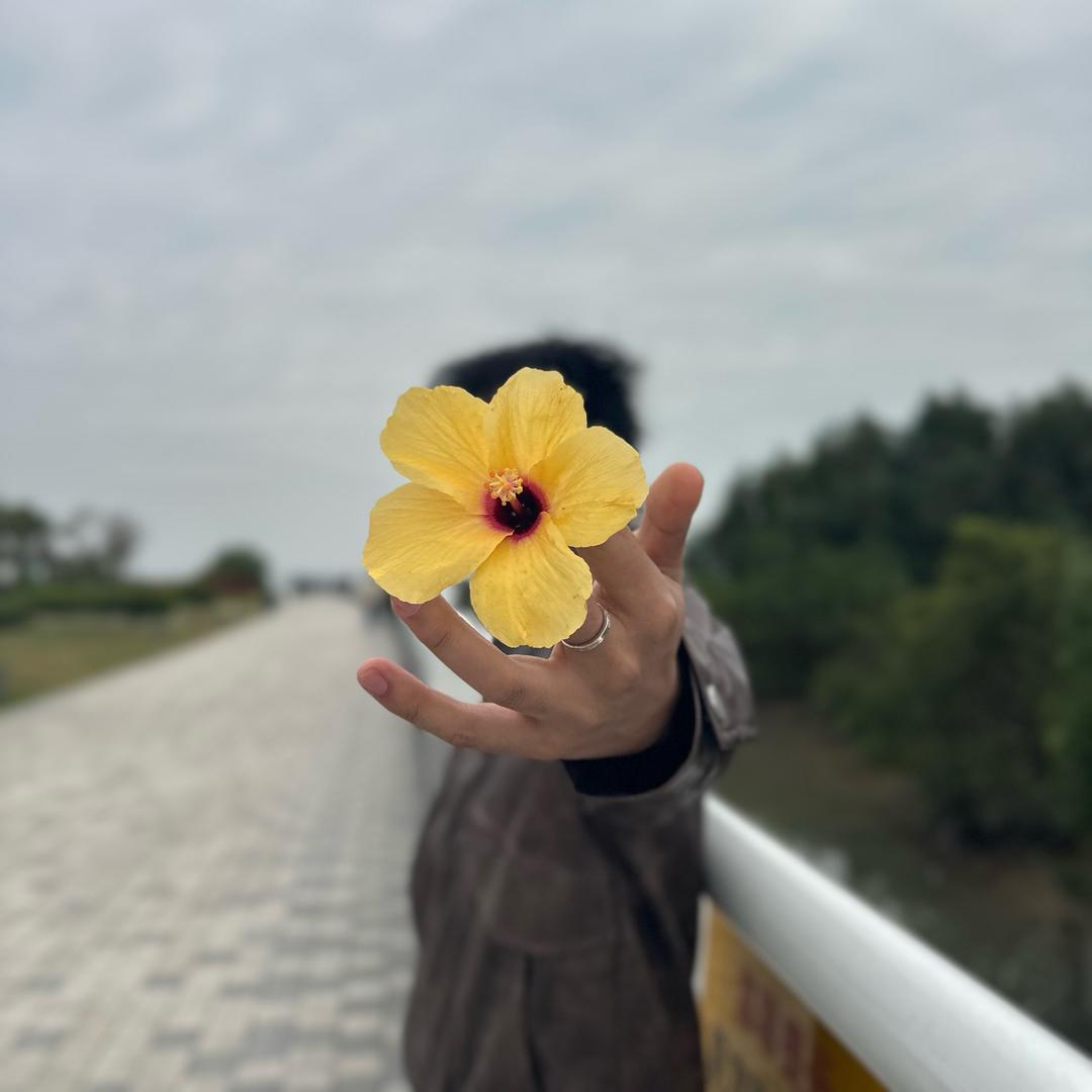 王哪跑   ㅤ       ㅤ